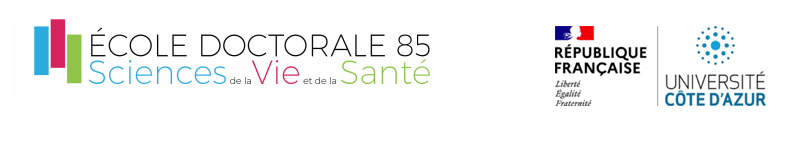 banniere ED svs Nice