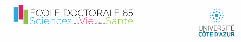 banniere ED svs Nice